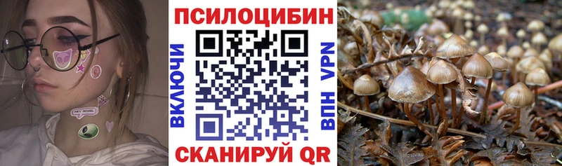 МЕГА ССЫЛКА  площадка состав  Сольцы  Галлюциногенные грибы Cubensis  закладка 